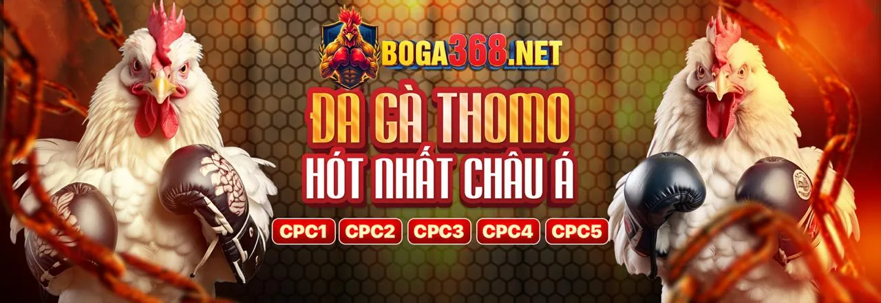 Hoàn trả thể thao llwin